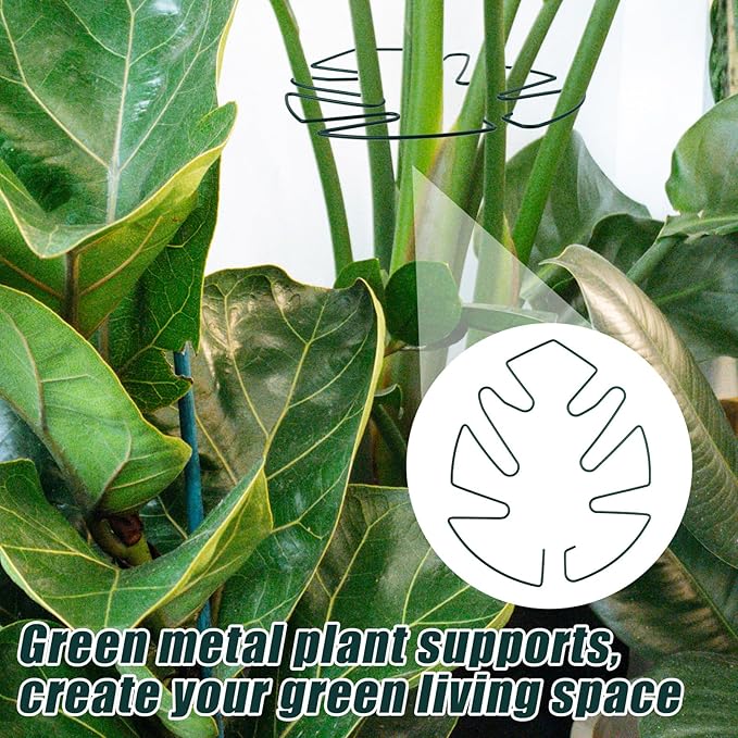 BOXOB 2pcs Monstera Leaf Plant Support, Metal Climbing Plant Stem Supports Monstera Shaped Plant Stand Ring Houseplant Stabilizer Grapple Holder to Keep Plants Growing Vertical (Green)