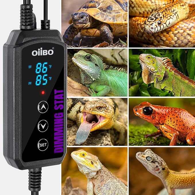 Oiibo Digital Heat Mat Thermostat, PID Reptile Heat Lamp Dimming Thermostat Heating Pad Temperature Controller for for Aquarium Reptiles and Seedling, Breeding, Hatching