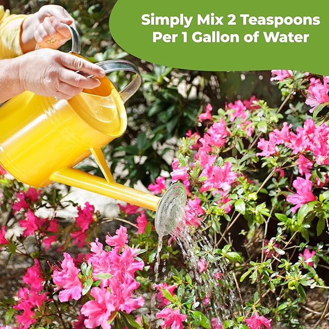 Liquid Azalea Fertilizer by Perfect Plants | Best Plant Food to Enhance Blooms, Brighten Colors, & Improve Soil Content for All Azaleas & Rhododendron | Instantly Release Nutrients to the Shrub