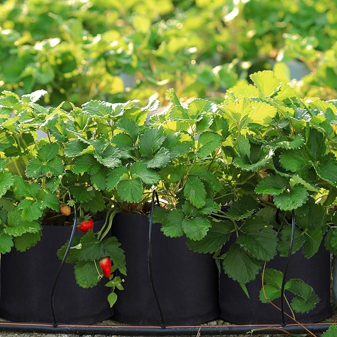 Zubebe 60 Pack Plant Grow Bags Bulk Garden Bags Aeration Grow Pots Heavy Duty Thickened Nonwoven Fabric Plant Pots Black Planting Container for Potato Tomato Vegetable Flower Fruits (5 Gallon)
