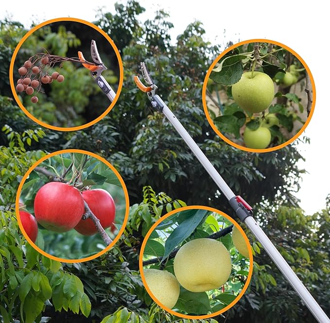 Soft Home 4.6-10 Ft Long Reach Tree Pruner Extendable, Fruit Picker, Telescoping Tree Pruner, Fruit Tree Branch Trimmers Long Handled Pruner, Cut and Hold Pruner