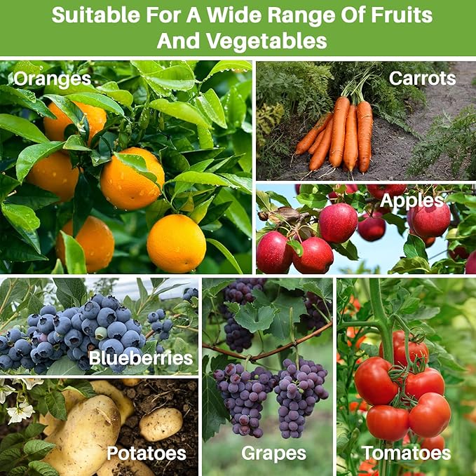 Sukh Bird Netting for Garden Protection – 3 Pack 2.3 x 3.3 FT Blueberry Bush Netting Covers with Drawstring Pest Barrier Plant Net for Fruit Trees, Tomato, Strawberry from Birds, Chicken & Cicadas