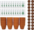 BUZZY Daisy Seeds & Genuine Terracotta 5cm Mini Pot Bulk Pack (20 Count), Includes 20 Each of pots, Soil pellets and Seeds - Great for Favors, Crafts, School Projects, Weddings, and Seed Starter Kits