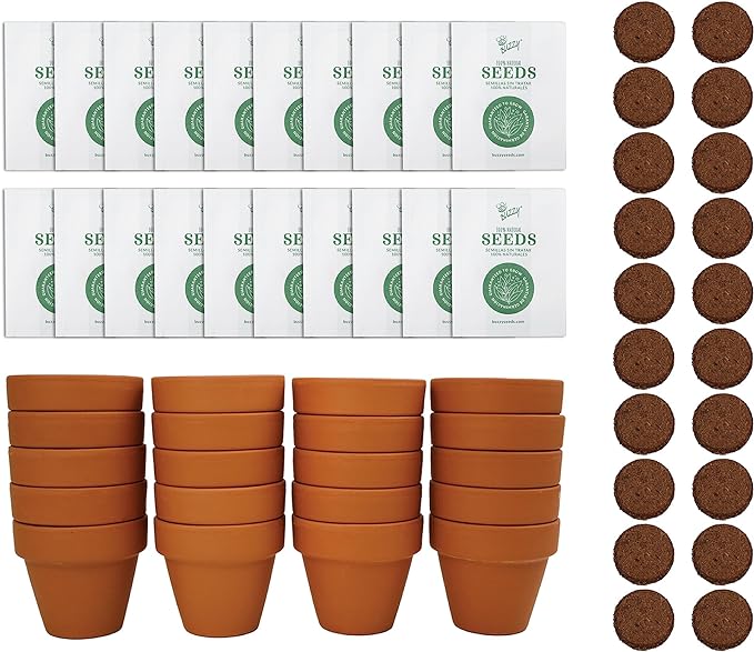 BUZZY Daisy Seeds & Genuine Terracotta 5cm Mini Pot Bulk Pack (20 Count), Includes 20 Each of pots, Soil pellets and Seeds - Great for Favors, Crafts, School Projects, Weddings, and Seed Starter Kits