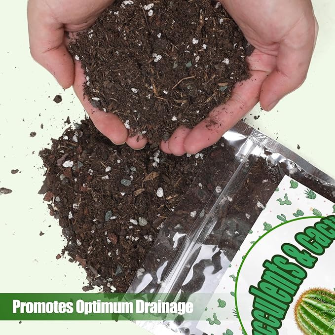 Doter Cactus & Succulent Soil Mix 10qt, Chunky Well-Draining Soil for Indoor Plants - Spike & Bloom