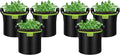 VIVOSUN 6-Pack 3-Gallon AeroBase Grow Bags, Durable Mesh Fabric Plant Container with Breathable Base and Sturdy Handles, Black