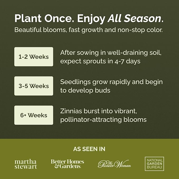 Eden Brothers Zinnia Seeds - Zahara Double White