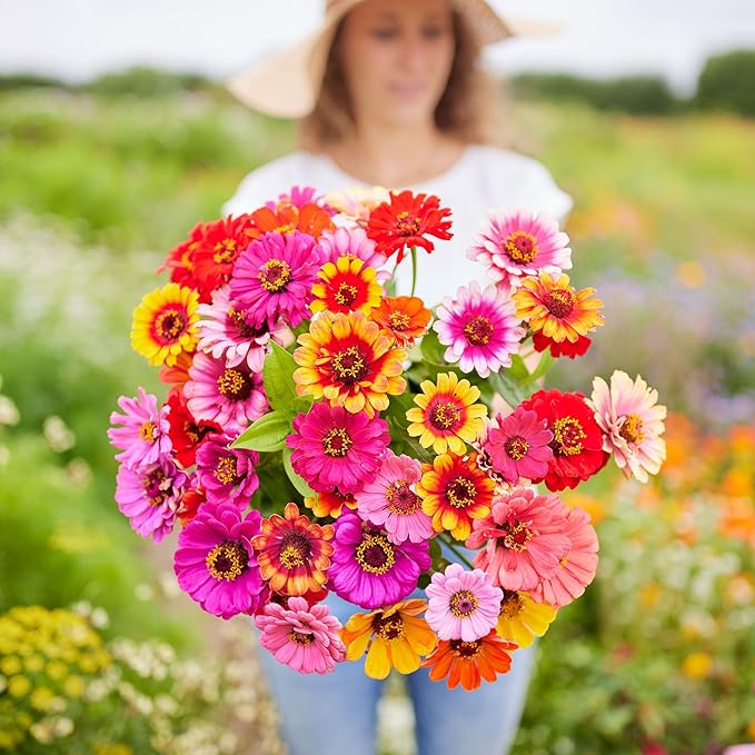 Eden Brothers Zinnia Seeds - Carrousel Mixed, Non-GMO Seeds for Planting, 1 oz | Low-Maintenance Flower Seeds, Plant During Spring, Zones 3, 4, 5, 6, 7, 8, 9, 10