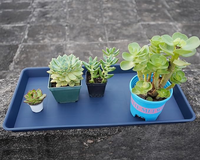 VUWEZ Plant Growing Trays 2 Pack, Plant Tray, 14.5"x11", Heavy Sturdy Plastic Plant Saucer Seed Trays, Seedling Starter Tray, Plant Drip Trays for Indoors, Seed Starter Growing Tray (Blue)