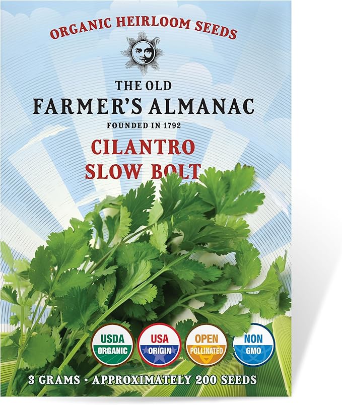 The Old Farmer's Almanac Heirloom Organic Cilantro Seeds (Slow Bolt) - Approx 200 Seeds - Certified Organic, Non-GMO, Open Pollinated, Heirloom, USA Origin