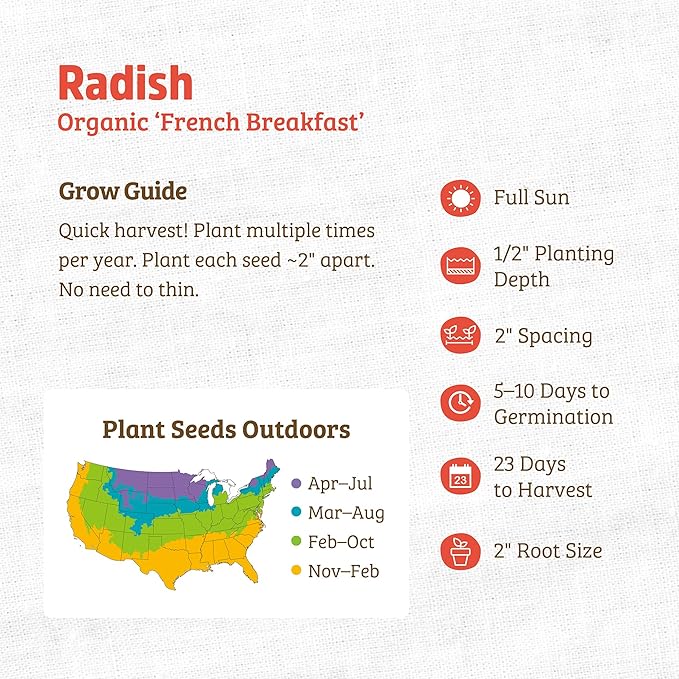 Back to The Roots 100% Organic Seed Packet - Radish 'French Breakfast' 1.4g