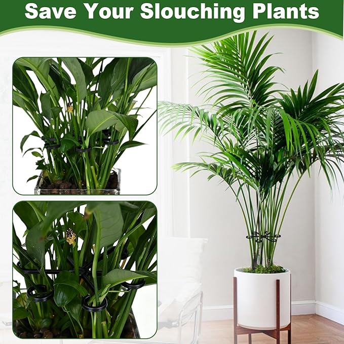 16pcs Plant Stem Support, Plant Support for Indoor Plants, 4 Sizes Climbing Houseplant Stem Holders, Reusable Plant Stabilizer, Indoor Plants Accessories