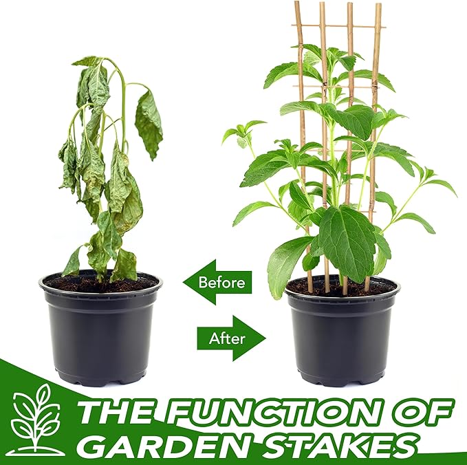 4 Pack 4 Feet Bamboo Trellis for Climbing Plants Outdoor, Taoskai Fan-Shape Garden Trellis for Tomatoes, Cucumbers, Peas, Flowers, Potted Plants, Plant Support