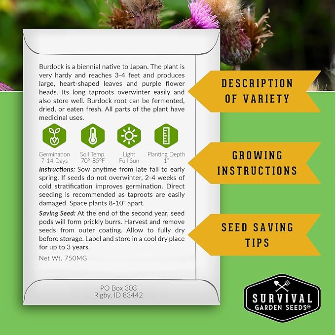 Advanced Medicinal Herb Seeds Collection - Variety Pack for Planting with Plantain, Joe-Pye Weed, St John’s Wort, Valerian, Mugwort - Heirloom Apothecary Herbalist Seed Bundle - Survival Garden Seeds