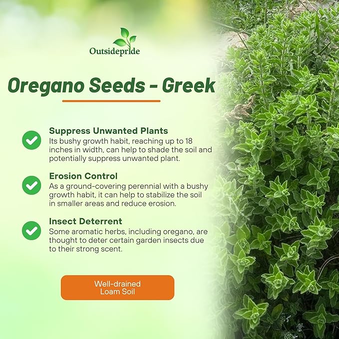 Outsidepride Greek Oregano Seeds - 5000 Pcs Perennial, Aromatic Easy to Grow Herb Seeds for Culinary Use, Flavorful Oregano Gardens & Tea Preparation, Food Seasoning & Traditional Uses