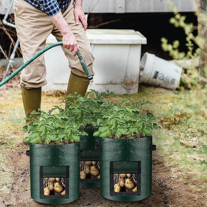 LITLANDSTAR 6 Pack Potato Grow Bags, 5 Gallon Grow Bags Garden Planting Bags with Flap Windows and Handles, Vegetable Grow Bags for Potato, Onion, Tomato, Carrot (Dark Green)