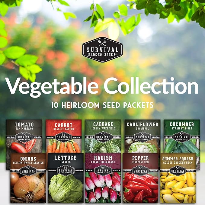 Vegetable Seeds for Planting 10 Variety Pack – Heirloom Garden Seed Packs to Grow Tomato, Lettuce, Onion, Cucumber, Squash & Other Vegetables – Non-GMO Family Garden Kit – Survival Garden Seeds