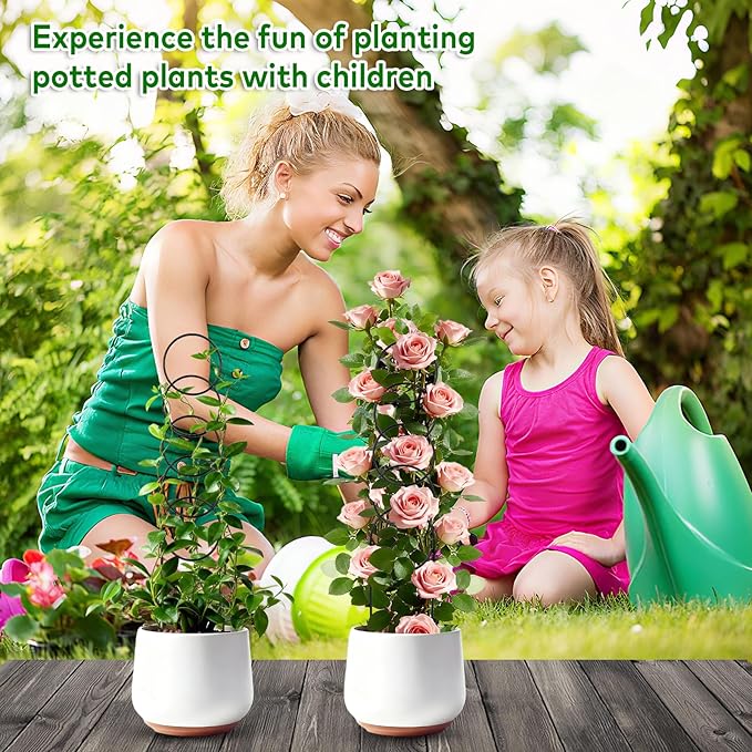 16 Inch Plant Trellis Indoor for Climbing Plants,Metal Small Garden Trellis for Potted Plants,Plant Stakes for Indoor Plants Accessories Hoya,Flower,Plant Support,Plant Gifts 2PCS