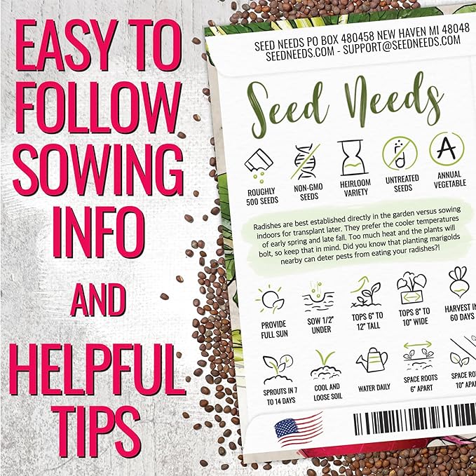 Seed Needs Radish Seeds for Planting German Giant Radishes - Non-GMO, Heirloom & Untreated - Grow a Home Grown Vegetable Garden - Cool Weather Crops (1 Pack)