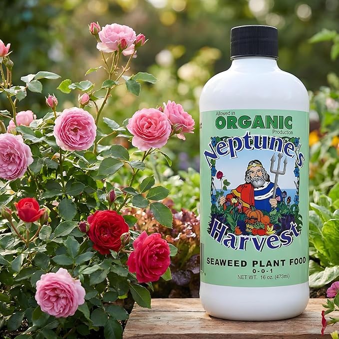 Neptune’s Harvest Seaweed Plant Food (0-0-1) - 16oz Pint - Multi-Purpose Seaweed Organic Liquid Fertilizer - Indoor & Outdoor Plant Fertilizer for Lawns, Gardens, Vegetables, & Flowers