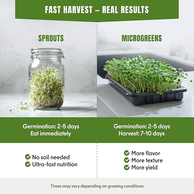 SproutMe Microgreens & Sprouting Seeds Variety Pack – 5 Varieties for Indoor Growing & Hydroponic Garden Use, Non-GMO Heirloom, 5,050+ Seeds for Planting Total – Basil, Broccoli, Radish, Pea & Spinach