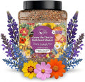 Bulk Wildflower Seed - Bird & Butterfly Garden Seed Mix | Bulk 300,000+ Annual & Perennial Flower Seeds for Planting - Attracts Hummingbirds & Butterfly | No Messy Bags or Packets | Bulk 1 Pound Jar