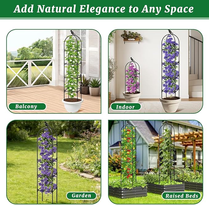 Fabulas Garden Obelisk Trellis for Climbing Plants Outdoor, 6 Ft Rustproof Plastic Coated Metal Vine Plant Trellis Support for Pots, Wisteria, Morning Glory, Clematis, Jasmine, Rose, Tomato, 2 Pack