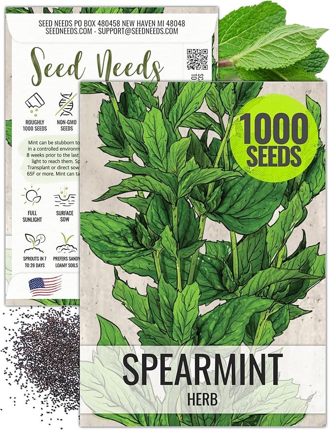 Seed Needs Mint Seeds for Planting Spearmint Herbs - Non-GMO Heirloom & Untreated Perennial Herb Seed to Plant a Home Grown Herb Garden Indoors or Outdoors (1 Pack)