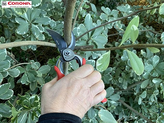 Corona BP 7200 Forged Pro Cut Bypass Hand Pruner, 1-Inch, Red (Pack of 6)