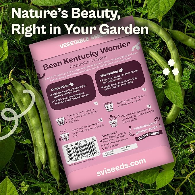 SVI 50 Kentucky Wonder Bush Bean Seeds (Phaseolus vulgaris) – Green Beans Seed Packets, Pole Beans – Heirloom Vegetable Seeds for Outdoor, Vegetable Garden, Containers
