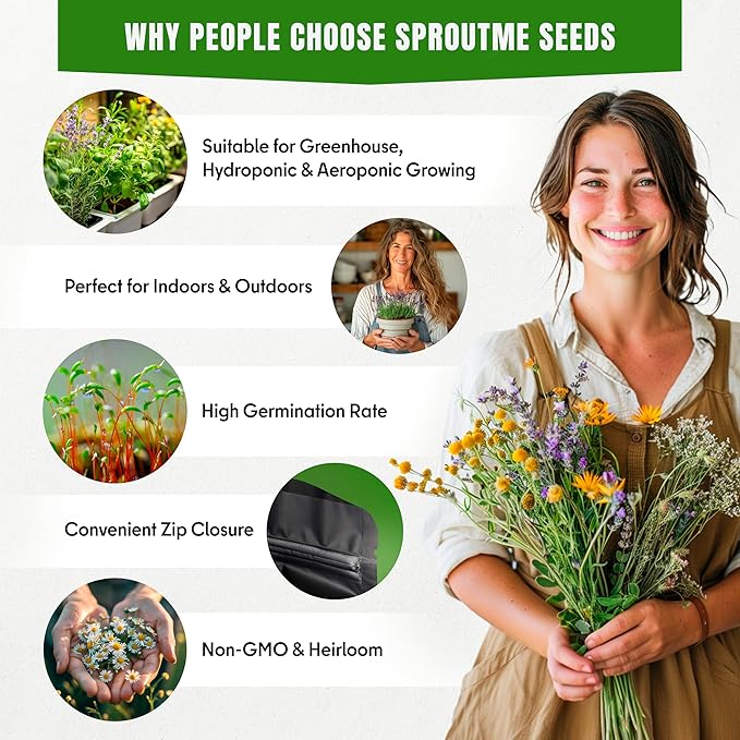 Garlic Chives Seeds for Planting – 300+ Heirloom Non-GMO Asian Herb Seeds – Chinese Chives for Cooking, Stir Fry & Garden Growing (Allium tuberosum)