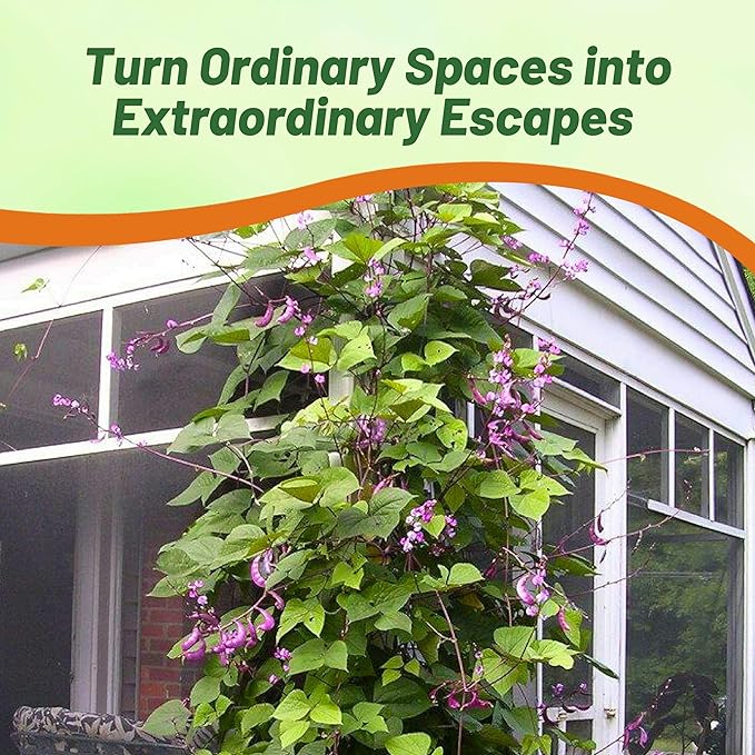 Outsidepride Red Lablab Hyacinth Bean Vine Seeds - 200 Pcs Perennial, Fast Growing Vegetable Seeds for Planting with Fragrant Foliage for Garden & Edible Flower and Pods for Culinary Uses