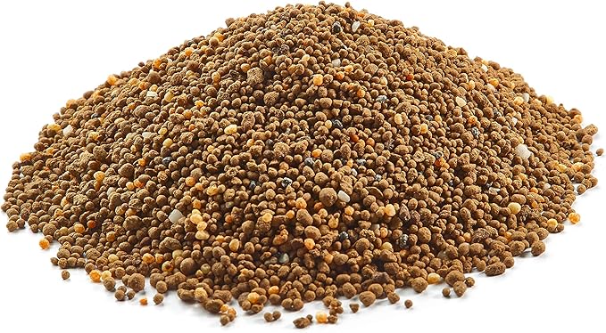 BioAdvanced 12 Month Tree and Shrub Protect and Feed, Granules, 4 lb, Insect Killer and Fertilizer & Plant Food
