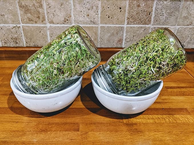 Sprouting Jar with Screen Lid-316 Stainless Steel 100% Rust Free, Wide Mouth Quart Mason Jar Kit Sprouter, Organic Healthy Fresh Broccoli, Alfalfa, Mung Bean Sprouts and more (Seeds not included)