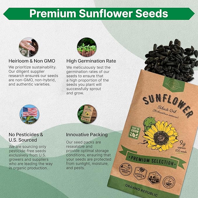 Organo Republic Sunflower Black Oil Seeds Pack 9G - Over 100 of Non-GMO Heirloom Sunflower Seeds for Planting Vegetables in Individual Seed Packet, Vegetable Seeds for Planting Indoor & Outdoor Garden