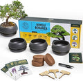 Garden Republic Bonsai Tree Kit - Mini Bonsai Seeds, 3 Types with Stylish Stone Pots, Pruning Shears Tool, Plant Markers, Wood Gift Box, and Potting Soil