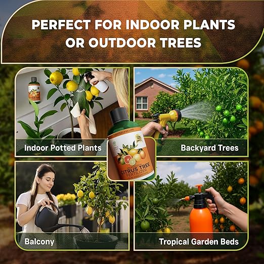 Leaves and Soul Professional Citrus Tree Fertilizer Liquid Concentrate - 6-4-6 Blend for Fruit Tree Fertilizer, Garden - Liquid Plant Food for Citrus Trees in Pots or Outdoors - 8oz