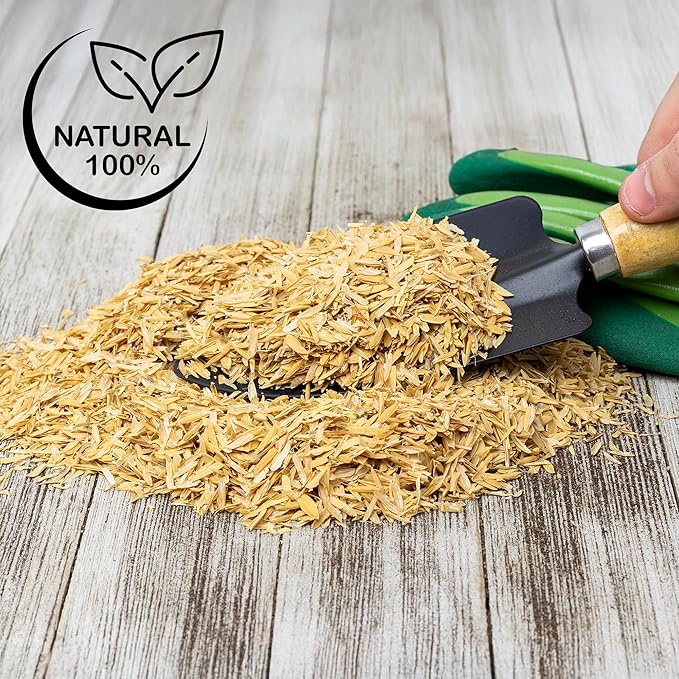 Soil Sunrise Organic Horticultural Grade Rice Hulls (8 Quarts) All-Natural Soil Amendment for Houseplants, Gardening, Seed Starting & Chicken Bedding