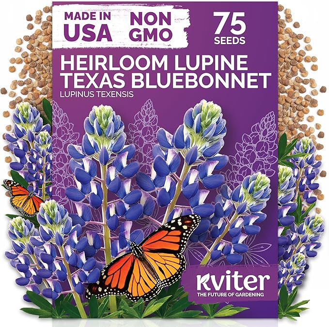 KVITER 75 Texas Bluebonnet Seeds (Lupinus Texensis) - Texas Lupine, Pollinator Friendly Wildflower, Non GMO Heirloom Seed - Annual Flower Seeds in Seed Packets for Outdoor Garden, Beds and Borders
