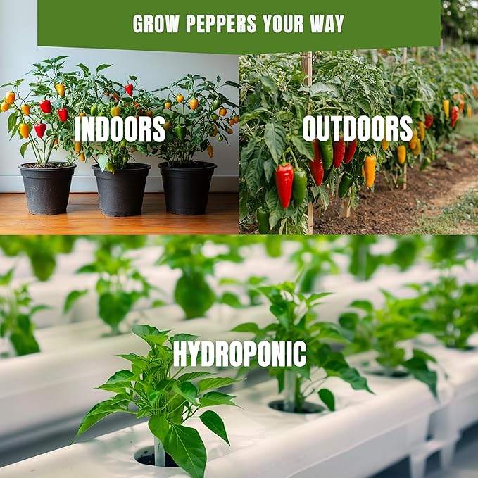 Hot & Sweet Pepper Seeds Variety Pack – 15 Varieties Mixed Heat Garden Collection, Jalapeno, Habanero, Cayenne, Serrano & Bell Types, 750+ Non-GMO Heirloom Seeds for Indoor & Outdoor Planting
