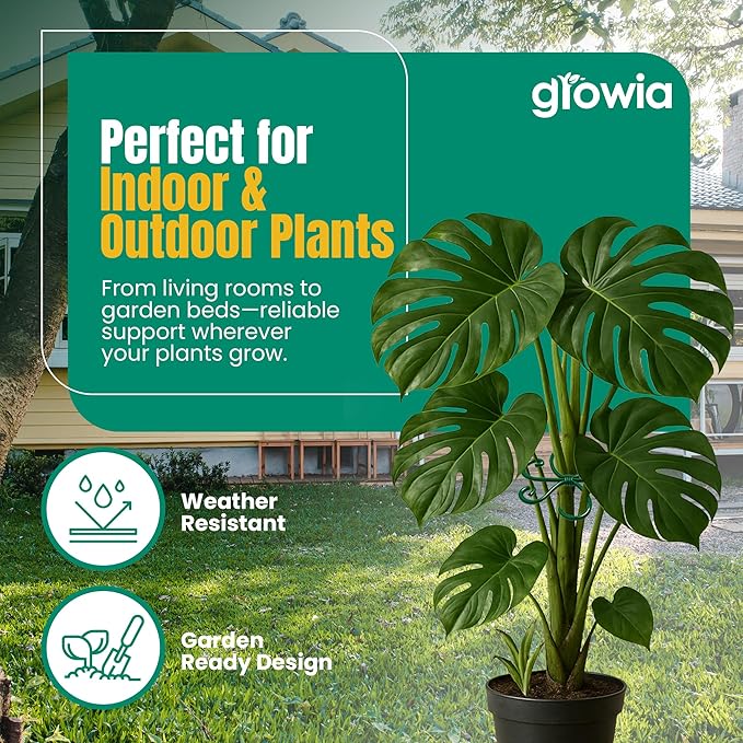 6 Pack Metal Plant Stem Supports for Indoor Plants (Green) - Houseplant Climbing Stem Supports and Stabilizer for Outdoor Plants