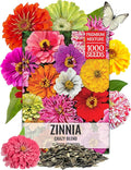 Seed Needs Zinnia Seeds 15+ Varieties Specialty Crazy Blend | 1,000+ Seeds Zinnia Elegans Open Pollinated | Includes California Giants, Candystripe & State Fair Species | Bulk