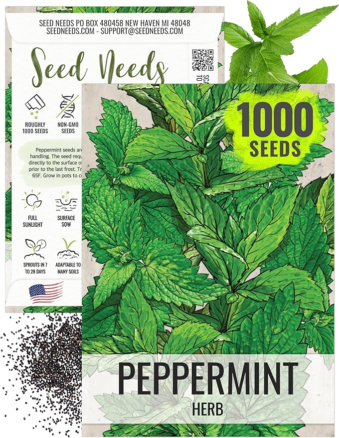 Seed Needs Peppermint Seeds for Planting - Non-GMO, Heirloom & Untreated - Medicinal/Culinary Herb to Plant a Home Grown Indoor or Outdoor Garden (1 Pack)