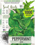 Seed Needs Peppermint Seeds for Planting - Non-GMO, Heirloom & Untreated - Medicinal/Culinary Herb to Plant a Home Grown Indoor or Outdoor Garden (1 Pack)