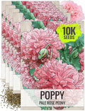 Seed Needs Pale Rose Peony Poppy Seeds for Planting - Heirloom & Open Pollinated Annual Flowers - Pink Ruffled Blooms to Attract Butterflies to The Garden (5 Packs)