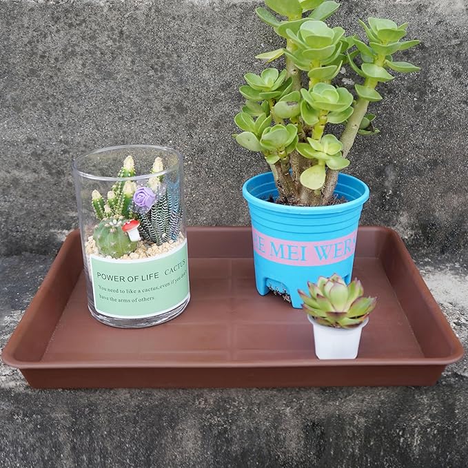 VUWEZ 4 Pack Plant Saucer Tray Rectangular, Plant Saucers for Indoors, Heavy Sturdy Plastic Plant Drainage Trays, Plant Drip Trays for Pots, Seed Starter Growing Tray (11 x 9 inch, Chocolate)