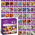 Wildflower Seeds Mix 1/2 lb 36 Varieties Perennial& Annual Flower Seeds Set for Planting，Non-GMO Heirloom Seed, Bulk Wild Flower Seeds for Indoor & Outdoors, Individual Seed Packets for Home Garden