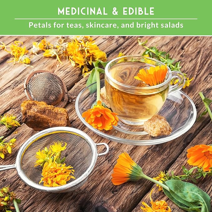 Calendula Seeds for Planting – 4 Pack Mix | Pacific Beauty, Apricot Beauty, Balls Orange, Greenheart – Heirloom Pot Marigold – Medicinal Herb, Pollinator Flowers – Survival Garden Seeds