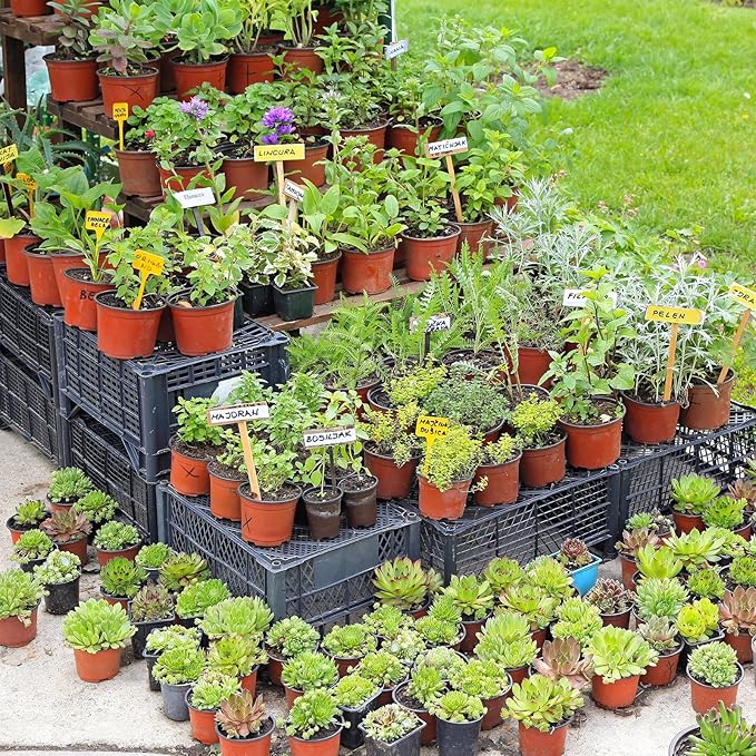 Delxo 4” Nursery Pots 100 Pcs Plastic Small Plant Pots with Drainage Holes, Flexible Seed Starter Pots for Seedlings, Cuttings & Transplanting, Reusable Flower Pots for Indoor Outdoor Plants, Red