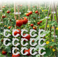 Secured Plastic Plant Clip, 2026 New Reusable Plant Support Clips Plastic Clips Tomato Clips for Securing Plants for Climbing Plants, Vegetable Stems (50, White)